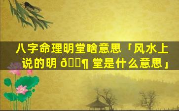八字命理明堂啥意思「风水上说的明 🐶 堂是什么意思」